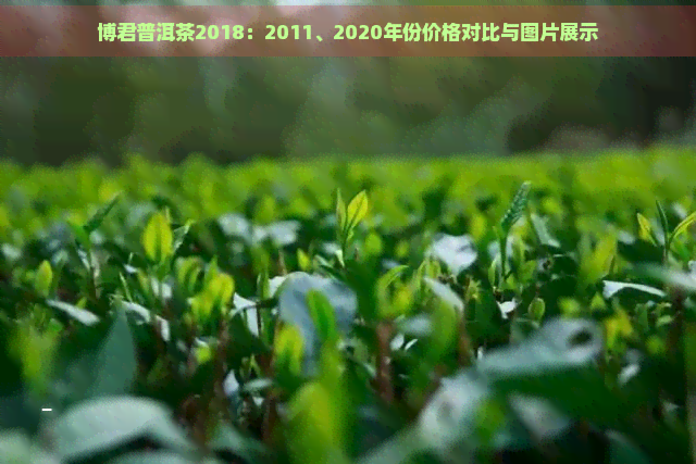 博君普洱茶2018：2011、2020年份价格对比与图片展示