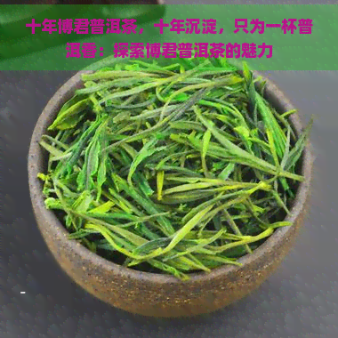 十年博君普洱茶，十年沉淀，只为一杯普洱香：探索博君普洱茶的魅力