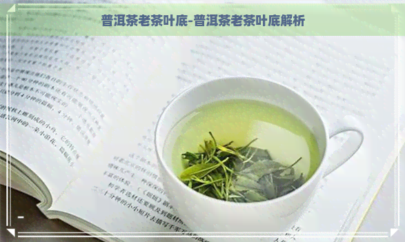 普洱茶老茶叶底-普洱茶老茶叶底解析