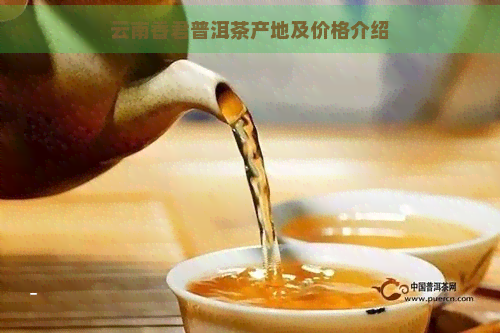 云南香君普洱茶产地及价格介绍