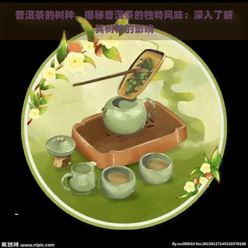 普洱茶的树种，揭秘普洱茶的独特风味：深入了解其树种的影响