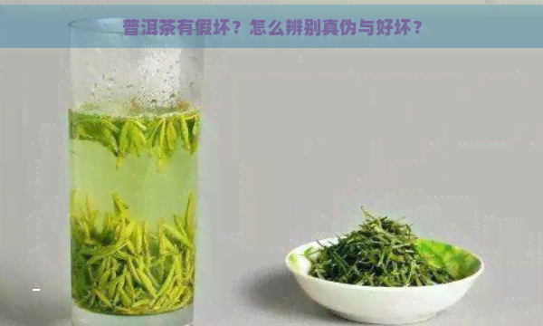 普洱茶有假坏？怎么辨别真伪与好坏？