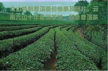 六山特制普洱茶价格表及图片，云南六山十年普洱茶饼、印象普洱茶价格一览