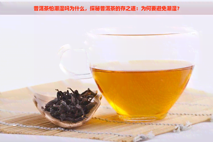 普洱茶怕潮湿吗为什么，探秘普洱茶的存之道：为何要避免潮湿？