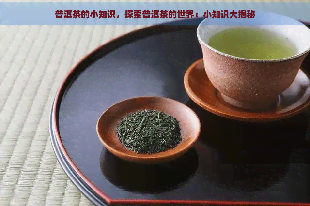 普洱茶的小知识，探索普洱茶的世界：小知识大揭秘