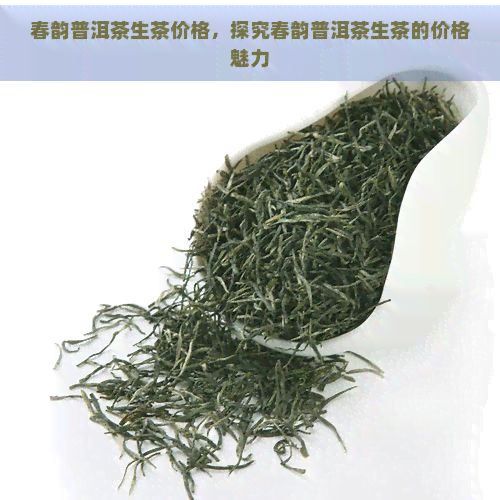 春韵普洱茶生茶价格，探究春韵普洱茶生茶的价格魅力