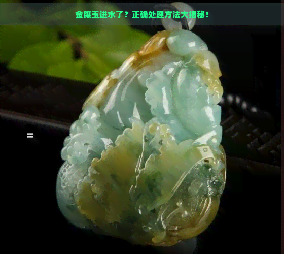 金镶玉进水了？正确处理方法大揭秘！