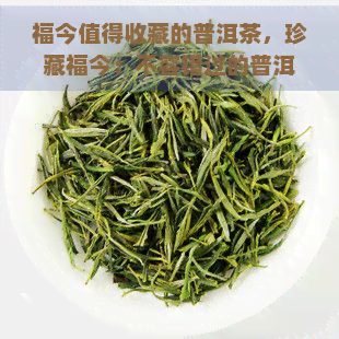 福今值得收藏的普洱茶，珍藏福今：不容错过的普洱茶佳品