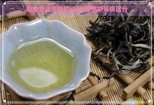 福金普洱茶级别-福今普洱茶等级区分