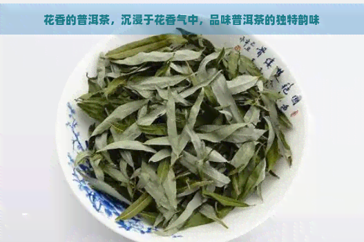 花香的普洱茶，沉浸于花香气中，品味普洱茶的独特韵味