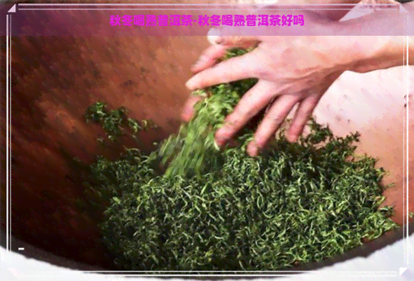 秋冬喝熟普洱茶-秋冬喝熟普洱茶好吗