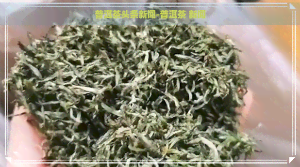 普洱茶头条新闻-普洱茶 新闻