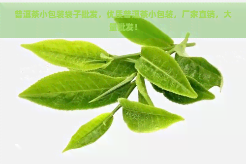 普洱茶小包装袋子批发，优质普洱茶小包装，厂家直销，大量批发！