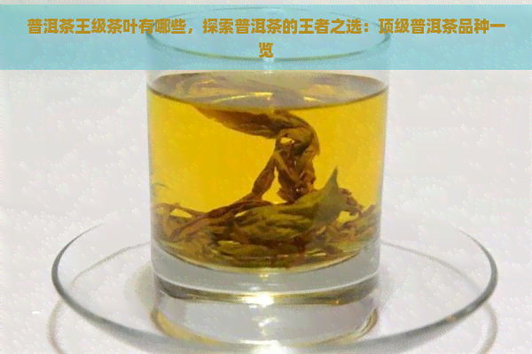 普洱茶王级茶叶有哪些，探索普洱茶的王者之选：顶级普洱茶品种一览