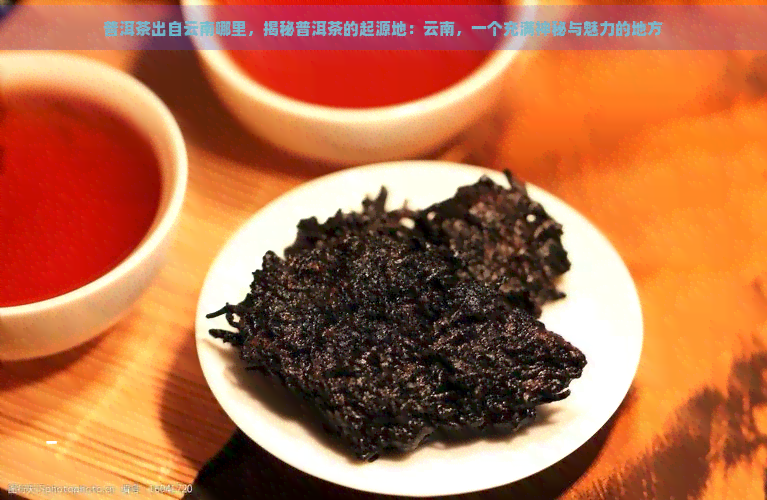 普洱茶出自云南哪里，揭秘普洱茶的起源地：云南，一个充满神秘与魅力的地方