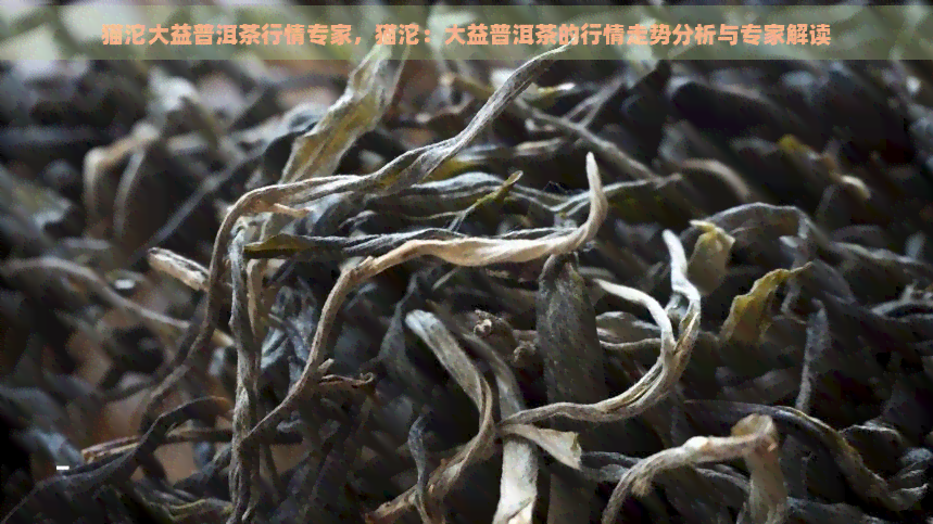 猫沱大益普洱茶行情专家，猫沱：大益普洱茶的行情走势分析与专家解读