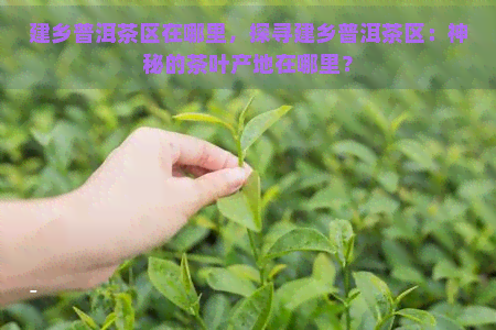 建乡普洱茶区在哪里，探寻建乡普洱茶区：神秘的茶叶产地在哪里？