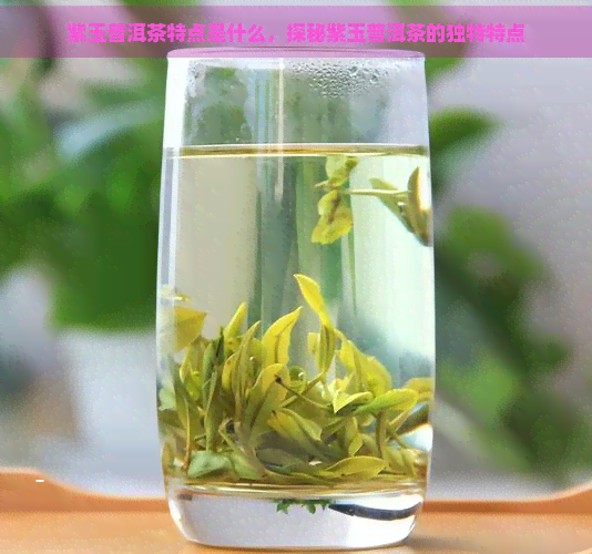 紫玉普洱茶特点是什么，探秘紫玉普洱茶的独特特点