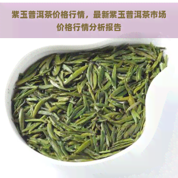 紫玉普洱茶价格行情，最新紫玉普洱茶市场价格行情分析报告