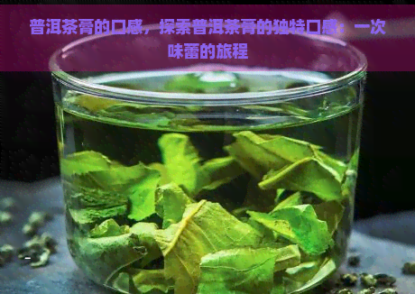 普洱茶膏的口感，探索普洱茶膏的独特口感：一次味蕾的旅程