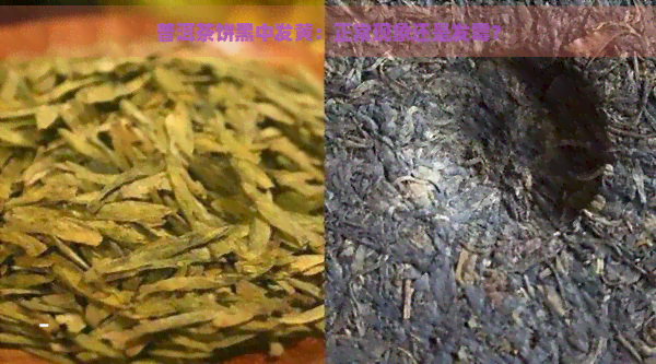 普洱茶饼黑中发黄：正常现象还是发霉？