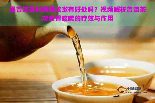 喝普洱茶对感冒咳嗽有好处吗？视频解析普洱茶对感冒咳嗽的疗效与作用