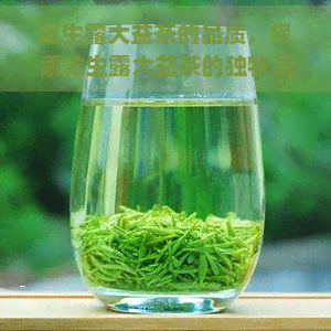 龙生露大益茶的品质，探索龙生露大益茶的独特品质