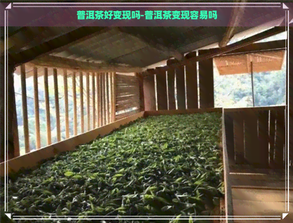 普洱茶好变现吗-普洱茶变现容易吗