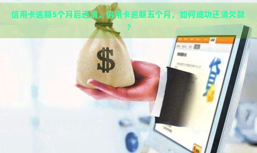 信用卡逾期5个月后还清，信用卡逾期五个月，如何成功还清欠款？