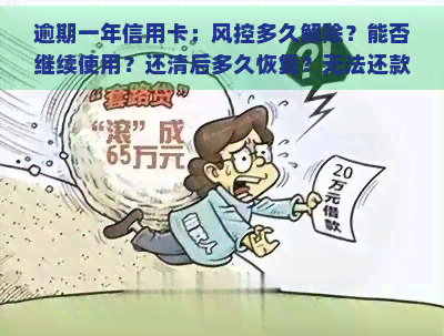 逾期一年信用卡：风控多久解除？能否继续使用？还清后多久恢复？无法还款怎么办？年费如何计算？还款金额依据显示吗？