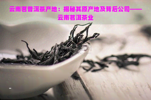 云南茗普洱茶产地：揭秘其原产地及背后公司——云南茗洱茶业