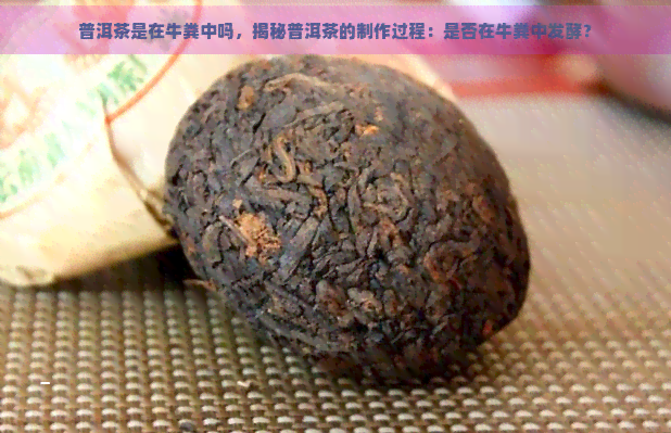 普洱茶是在牛粪中吗，揭秘普洱茶的制作过程：是否在牛粪中发酵？