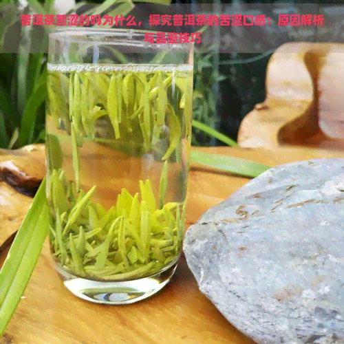 普洱茶苦涩的吗为什么，探究普洱茶的苦涩口感：原因解析与品鉴技巧