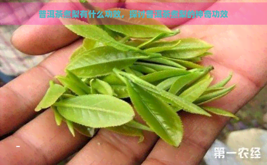 普洱茶煮梨有什么功效，探讨普洱茶煮梨的神奇功效