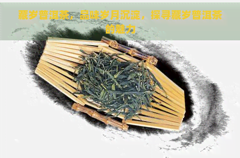 藏岁普洱茶，品味岁月沉淀，探寻藏岁普洱茶的魅力