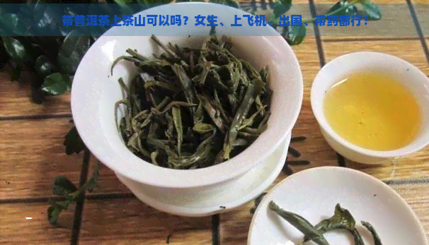 带普洱茶上茶山可以吗？女生、上飞机、出国、带药都行！