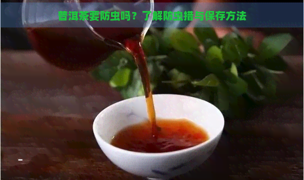 普洱茶要防虫吗？了解防虫措与保存方法