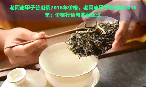 老同志甲子普洱茶2016年价格，老同志甲子普洱茶2016年：价格行情与购买建议