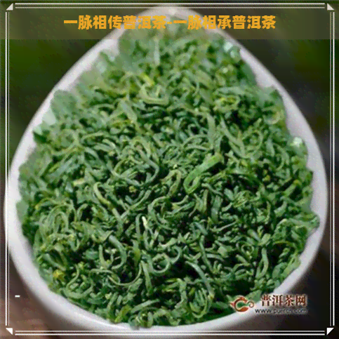 一脉相传普洱茶-一脉相承普洱茶