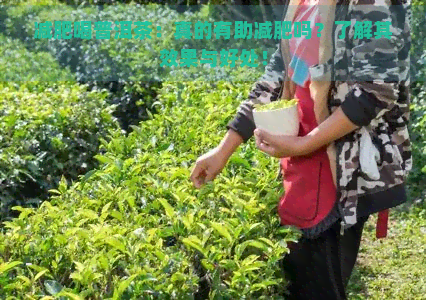 减肥喝普洱茶：真的有助减肥吗？了解其效果与好处！