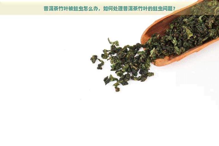 普洱茶竹叶被蛀虫怎么办，如何处理普洱茶竹叶的蛀虫问题？