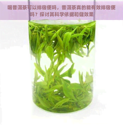 喝普洱茶可以排宿便吗，普洱茶真的能有效排宿便吗？探讨其科学依据和健效果