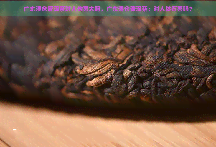 广东湿仓普洱茶对人伤害大吗，广东湿仓普洱茶：对人体有害吗？