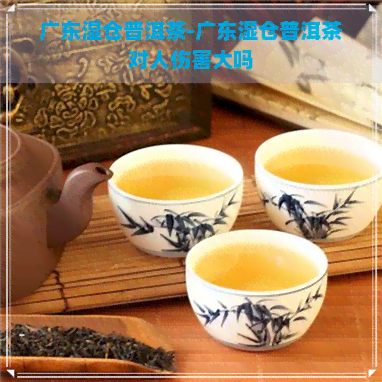 广东湿仓普洱茶-广东湿仓普洱茶对人伤害大吗