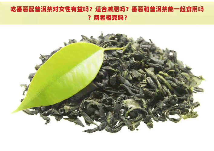 吃番薯配普洱茶对女性有益吗？适合减肥吗？番薯和普洱茶能一起食用吗？两者相克吗？