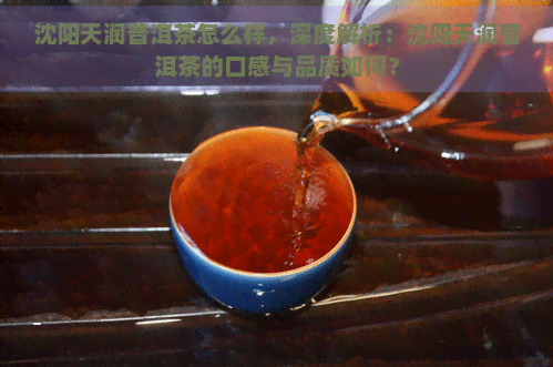 沈阳天润普洱茶怎么样，深度解析：沈阳天润普洱茶的口感与品质如何？