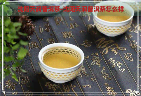 沈阳天润普洱茶-沈阳天润普洱茶怎么样