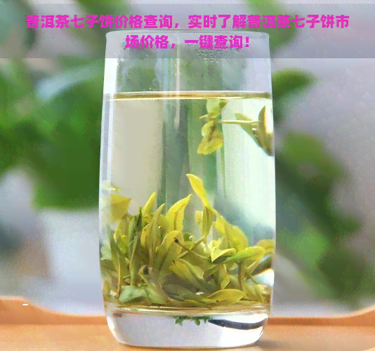 普洱茶七子饼价格查询，实时了解普洱茶七子饼市场价格，一键查询！