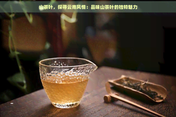 山茶叶，探寻云南风情：品味山茶叶的独特魅力