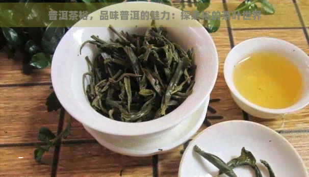 普洱茶裕，品味普洱的魅力：探索裕的茶叶世界